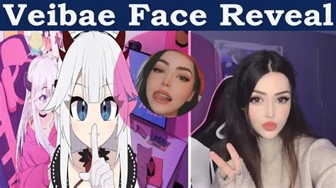 vei face reveal|Vei Twitch Face Reveal 2023: Wikipedia And Age